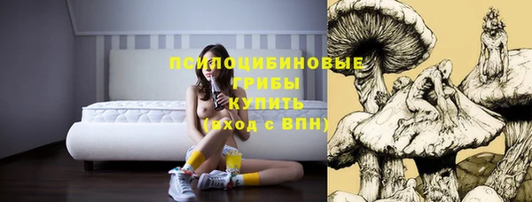 первитин Новозыбков