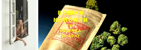 стаф Новодвинск