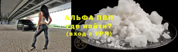 стаф Новодвинск