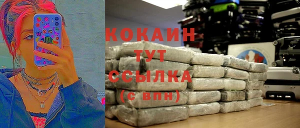 стаф Новодвинск