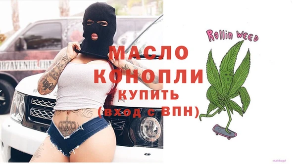 индика Гусь-Хрустальный