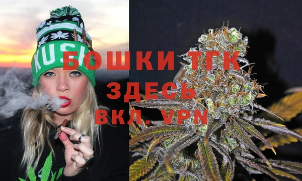 стаф Новодвинск